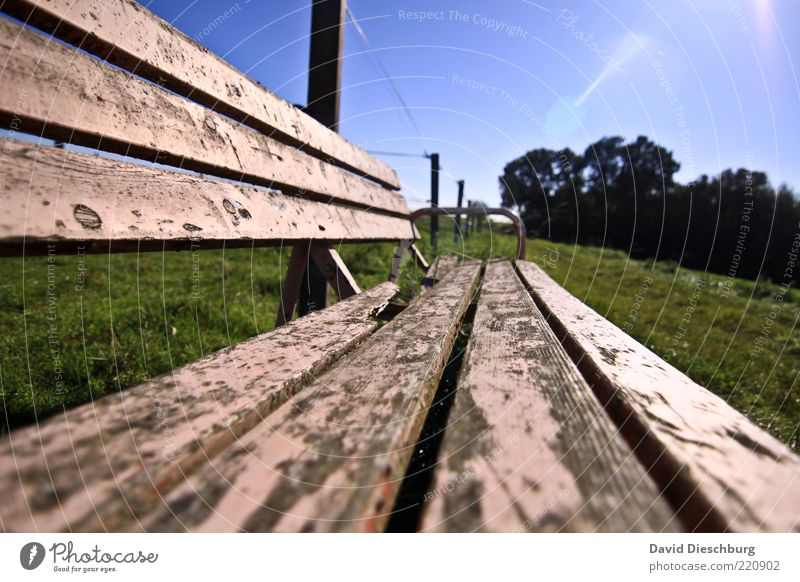 Sit down and enjoy... Nature Plant Cloudless sky Summer Beautiful weather Tree Grass Meadow Blue Green Bench Wood Old Relaxation Calm Varnish Brittle