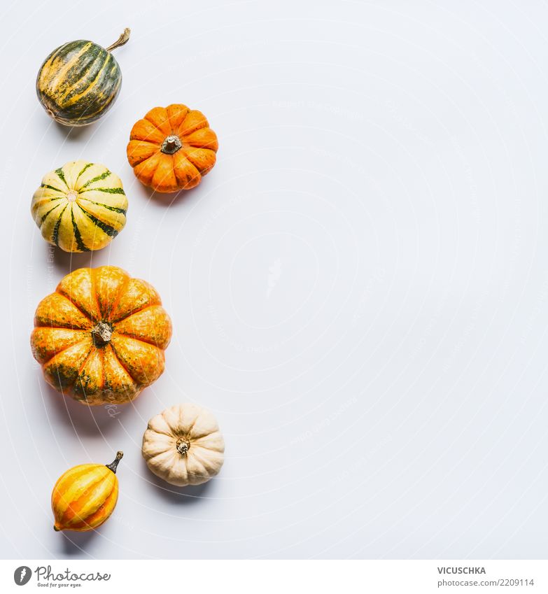Autumn Background with Pumpkins Vegetable Style Design Healthy Eating Thanksgiving Hallowe'en Nature Background picture Composing Symbols and metaphors