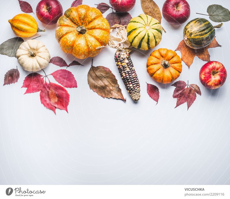 autumn background with pumpkin, corn, apples and leaves Vegetable Apple Style Design Healthy Eating Garden Feasts & Celebrations Thanksgiving Hallowe'en Nature