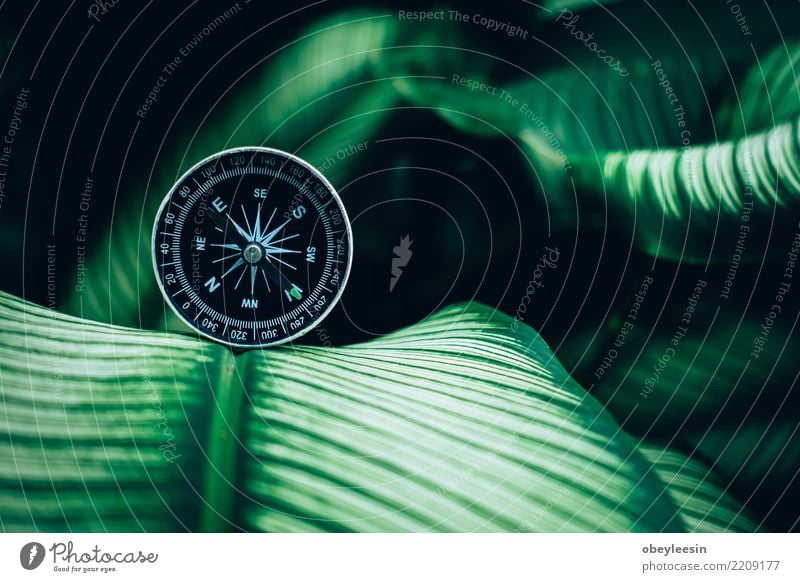 compass concept for find the nature in your life Lifestyle Vacation & Travel Tourism Trip Adventure Ocean Mountain Human being Hand Nature Coast Lanes & trails