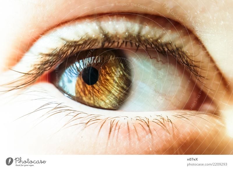 Behind Hazel Eyes Feminine A Royalty Free Stock Photo From Photocase