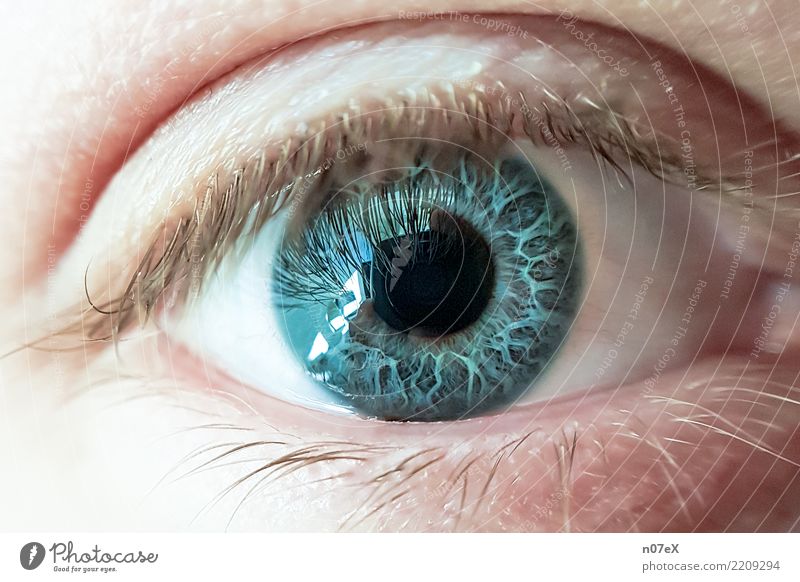 behind blue eyes Beautiful - a Royalty Free Stock Photo from Photocase