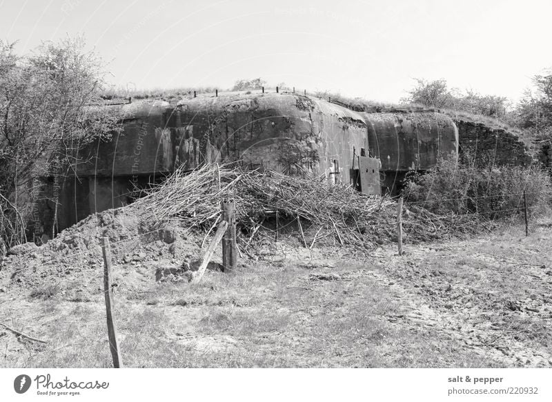 BUNKER - FRANCE Field Ruin Lanes & trails Dugout Theater of war Black & white photo Exterior shot Detail Neutral Background Day Bushes Twigs and branches