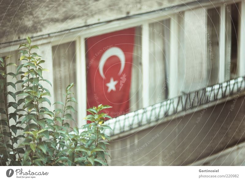 holiday House (Residential Structure) Facade Window Gloomy Flag Turkey Istanbul Glazed facade Republic Türkiye Cumhuriyeti laicism cihangir Culture Colour photo