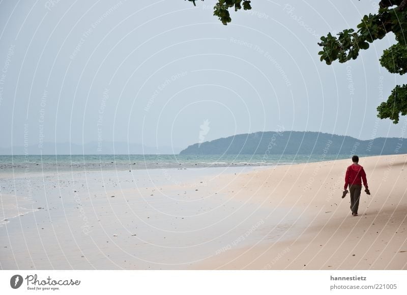 On the beach Vacation & Travel Freedom Summer vacation Beach Ocean 1 Human being Sand Bad weather Coast Jacket Going Loneliness Low tide Monsoon Colour photo