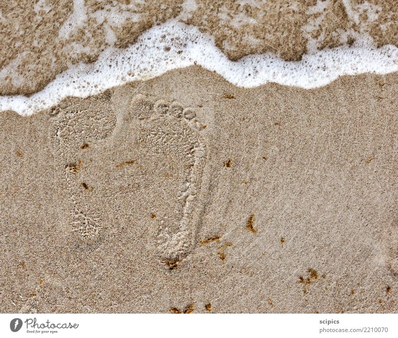 Traces in the sand Body Healthy Wellness Life Relaxation Calm Leisure and hobbies Summer Summer vacation Beach Ocean Waves Yoga Environment Nature Landscape