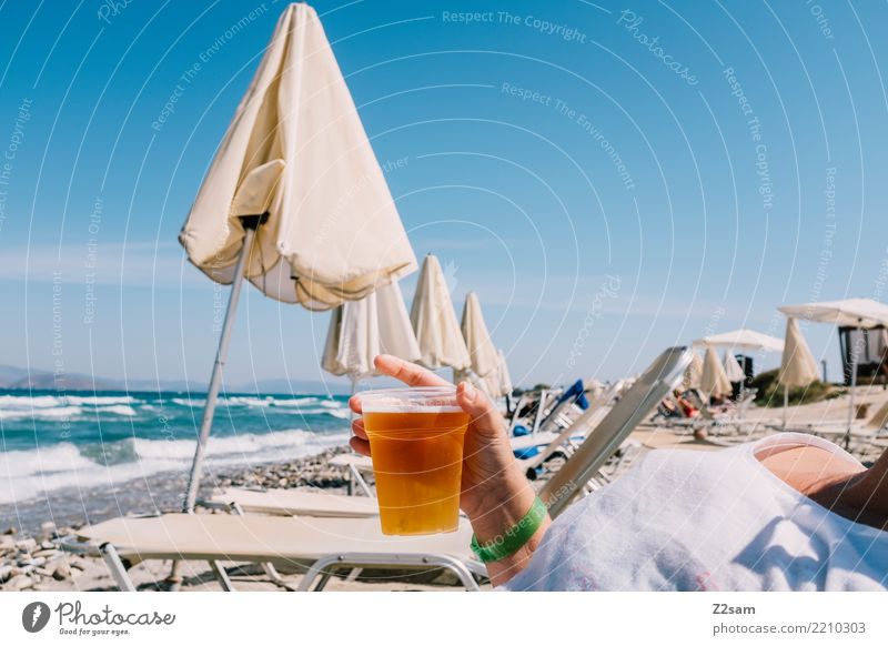 prost Drinking Beer Lifestyle Vacation & Travel Summer vacation Beach Ocean Young woman Youth (Young adults) Hand 18 - 30 years Adults Nature Landscape Sky Sun