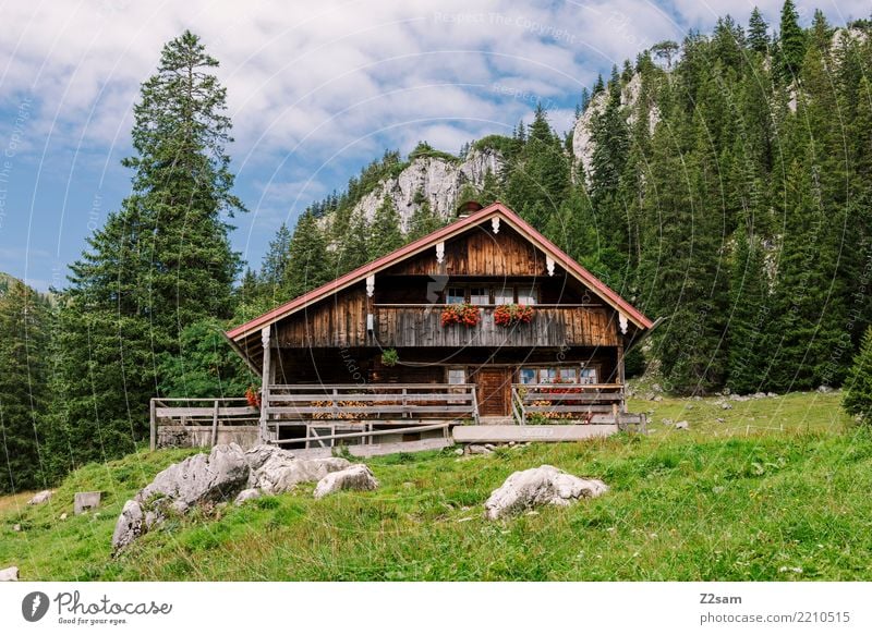 home Mountain Hiking Nature Landscape Summer Beautiful weather Forest Alps House (Residential Structure) Detached house Hut Simple Kitsch Loneliness Relaxation