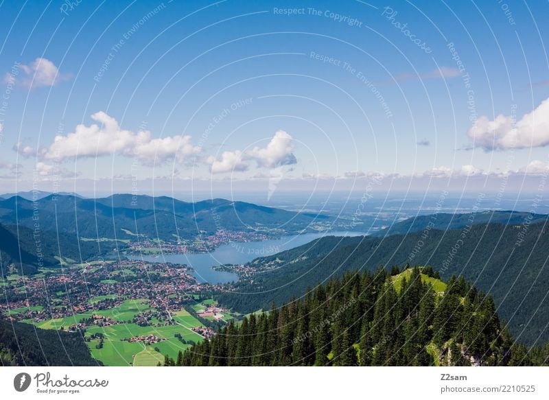 Tegernsee Mountain Environment Nature Landscape Sky Clouds Summer Beautiful weather Forest Alps Peak Lake Esthetic Far-off places Gigantic Large Blue Green