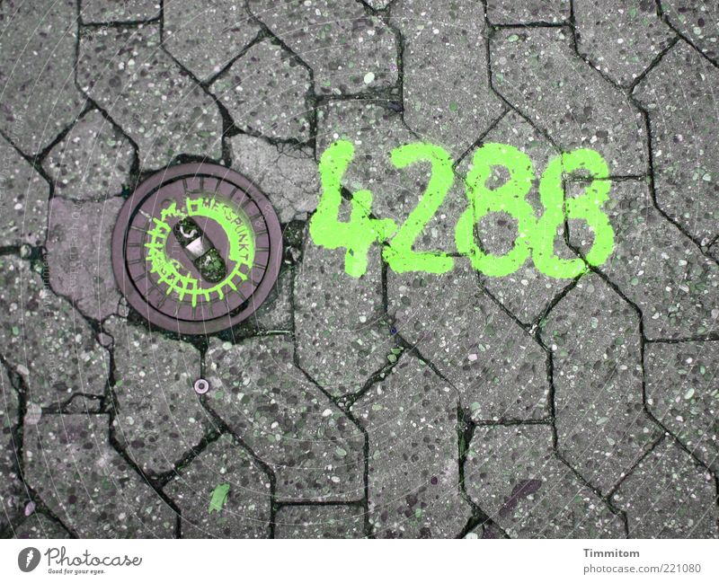 number of pavements measuring point Lanes & trails Concrete Digits and numbers 4288 Discover Green Clarity Accuracy Measurement Bright green Colour photo