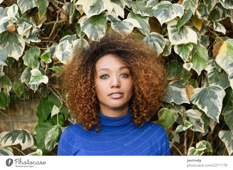Beautiful young African American woman with afro hairstyle Lifestyle Elegant Style Hair and hairstyles Face Human being Feminine Young woman
