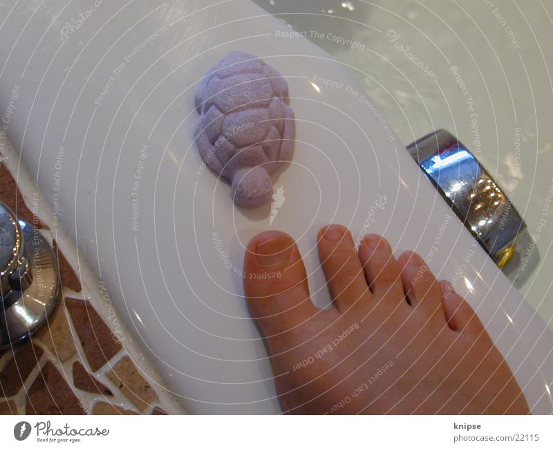 encounters Turtle Bathtub Toes Things Feet effervescent tablet Barefoot