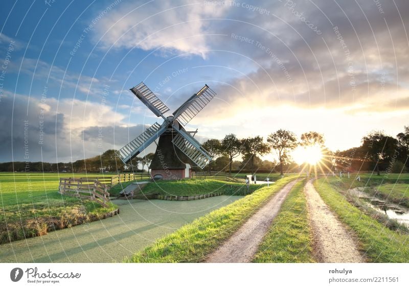 windmill, rural road and river at sunrise, Netherlands Beautiful Vacation & Travel Sun Environment Landscape Sky Clouds Summer Beautiful weather Grass Meadow