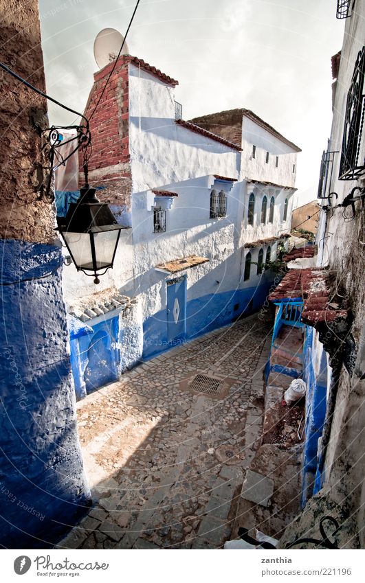 Chefchaouen Chechaouen Morocco Africa Village Town Downtown Old town Deserted House (Residential Structure) Building Wall (barrier) Wall (building) Blue White