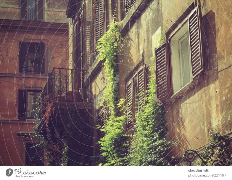 October in Rome Town Old town House (Residential Structure) Building Architecture Facade Balcony Window Green Shutter Tendril Natural growth Creeper Derelict