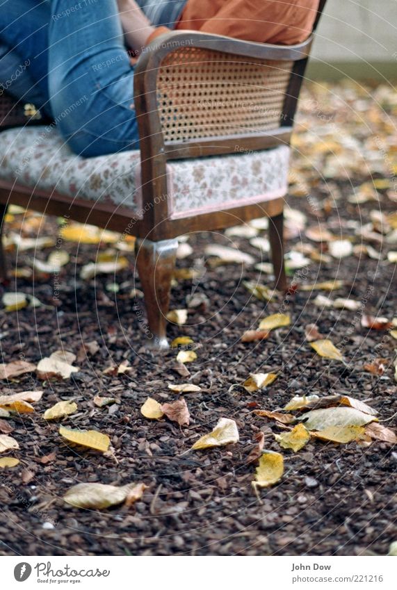 Autumn Whisper II Leisure and hobbies 1 Human being Garden Jeans Sit Historic Serene Calm Contentment Idyll Armchair Antique Relaxation Reading Leaf Autumnal