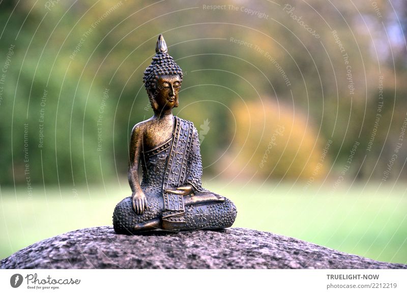 Golden Buddha meditating on a stone in the park pretty Healthy Health care Alternative medicine Healthy Eating Wellness Life Harmonious Contentment Relaxation
