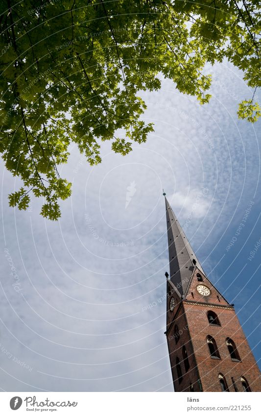 OFF Calm Sky Clouds Leaf Church Think Meditative Exterior shot Deserted Copy Space bottom Copy Space left Twigs and branches Church spire House of worship