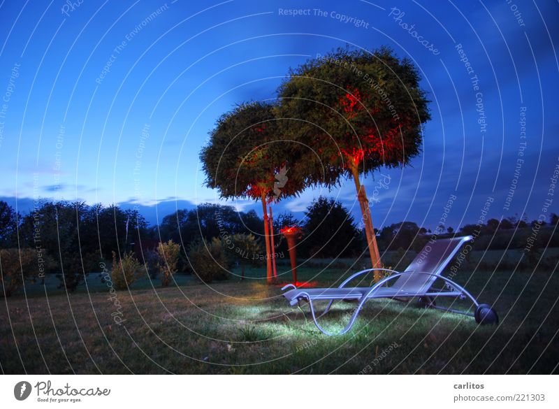 DARK WAR'S Sky Night sky Summer Beautiful weather Tree Garden Relaxation To enjoy Dream Esthetic Dark Blue Red Calm Couch Deckchair Visual spectacle Robinia