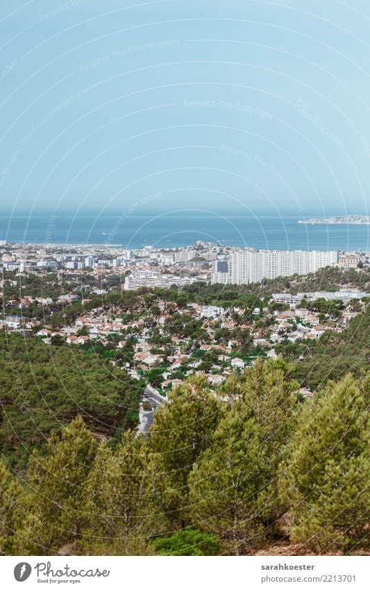 Panorama of Marseille, France Nature Landscape Plant Sky Cloudless sky Beautiful weather Tree Forest Hill Rock Europe Small Town Populated Overpopulated