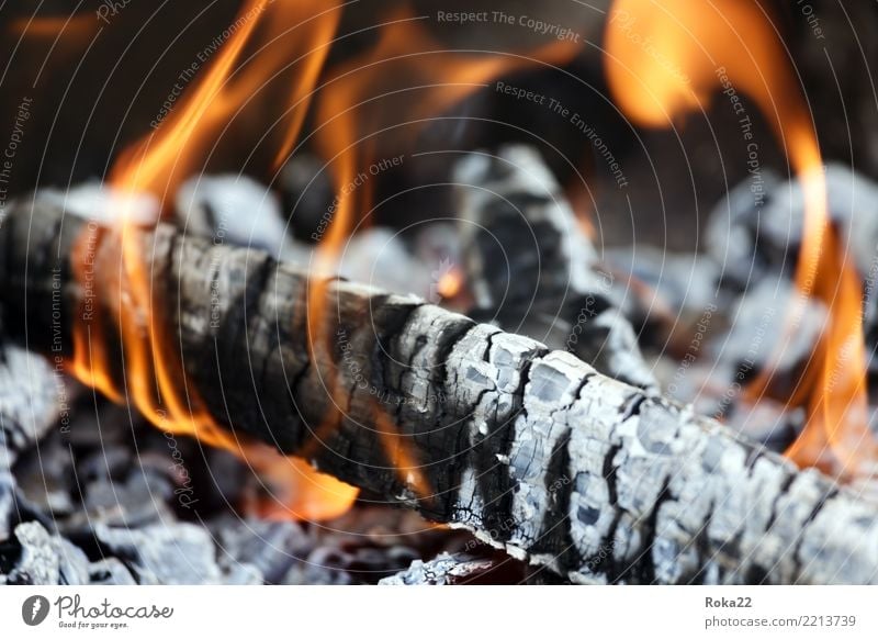 Closeup of the wood burns on fire Tourism Freedom Wallpaper Nature Warmth Stove & Oven Barbecue (apparatus) Hot Natural Black Dangerous Eternity background