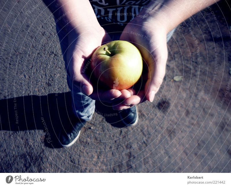 give. take. Food Fruit Apple Nutrition Organic produce Lifestyle Healthy Human being Child Boy (child) Infancy Skin Hand Feet 1 Nature Autumn To hold on Power
