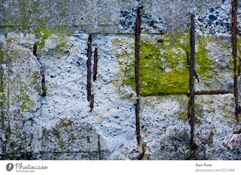 Concrete Swamp Landscape II Wind Moss Bizarre Uniqueness Concrete wall Destruction Fantasy Creativity Colour photo Subdued colour Exterior shot Detail