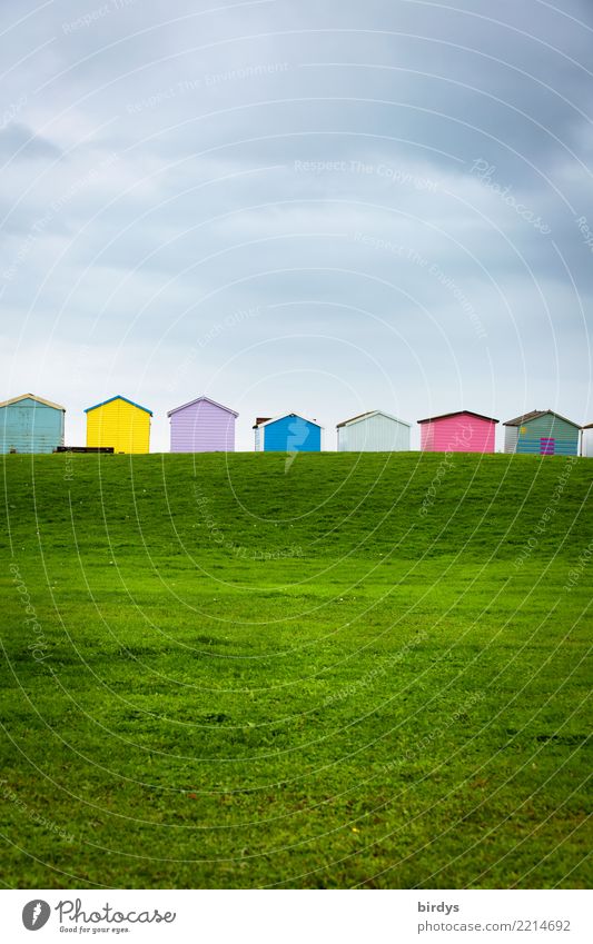 many colourful beach huts on england's coast on a green dyke. Meadow Vacation & Travel Living or residing Beach hut Characteristic English Summer vacation