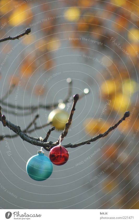 Balls & Dots Winter Glittering Multicoloured Yellow Christmas & Advent Christmas decoration Glitter Ball Autumn Autumn leaves Autumnal Autumnal colours Sphere