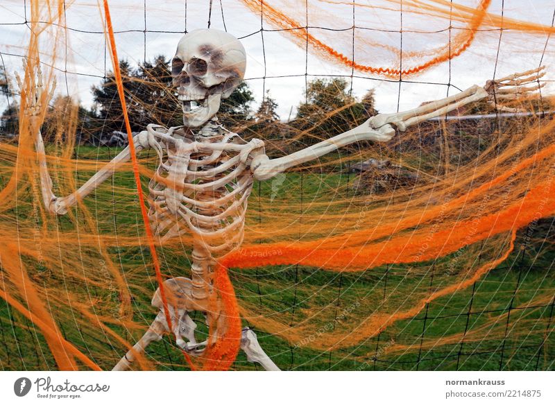 skeleton Hallowe'en Decoration Plastic Hang Creepy Trashy Orange Fear Horror Bizarre Leisure and hobbies Skeleton creep Death's head hung Colour photo