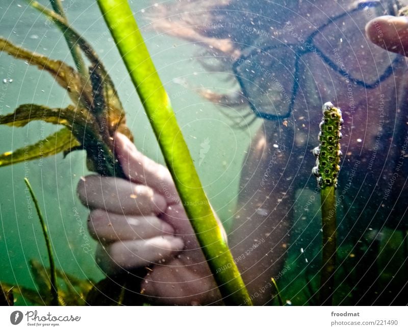 aquarium Joy Contentment Calm Swimming & Bathing Summer Summer vacation Human being Young man Youth (Young adults) Woman Adults Environment Nature Plant Lake