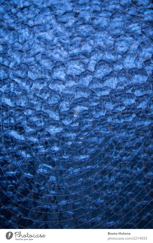 Texture | out of the blue Decoration Sky Window Door Glass Ornament Living or residing Esthetic Exceptional Exotic Glittering Cold Maritime Blue