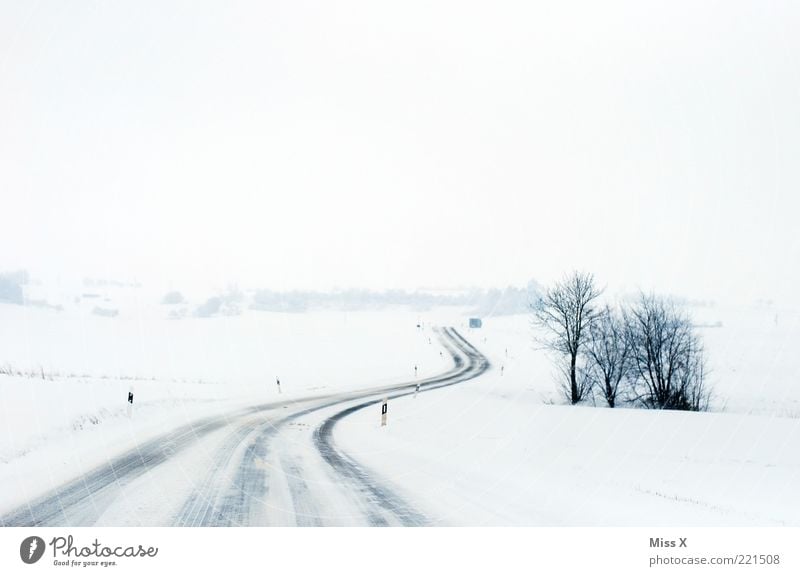The street Winter Ice Frost Snow Traffic infrastructure Street Lanes & trails Cold White Road safety Bushes Snowscape Landscape Colour photo Subdued colour