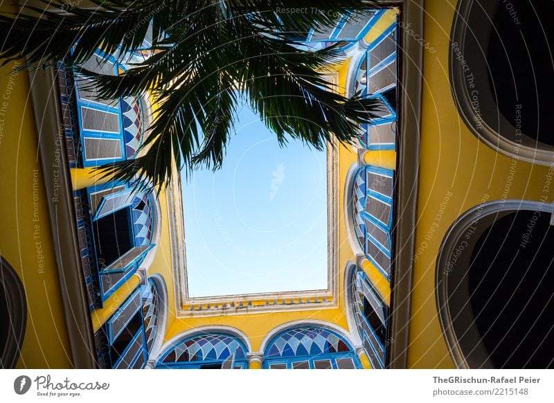 View upwards Town Capital city House (Residential Structure) Blue Yellow Above Sky Palm tree Balcony Building Wall (barrier) Perspective Multicoloured