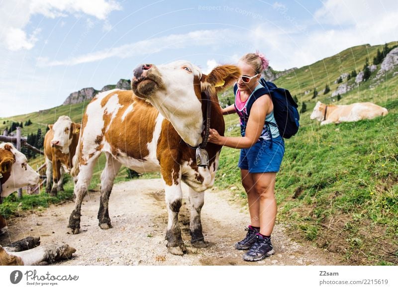 caress a cow Vacation & Travel Trip Mountain Hiking Young woman Youth (Young adults) 18 - 30 years Adults Nature Landscape Beautiful weather Alps Cow Touch