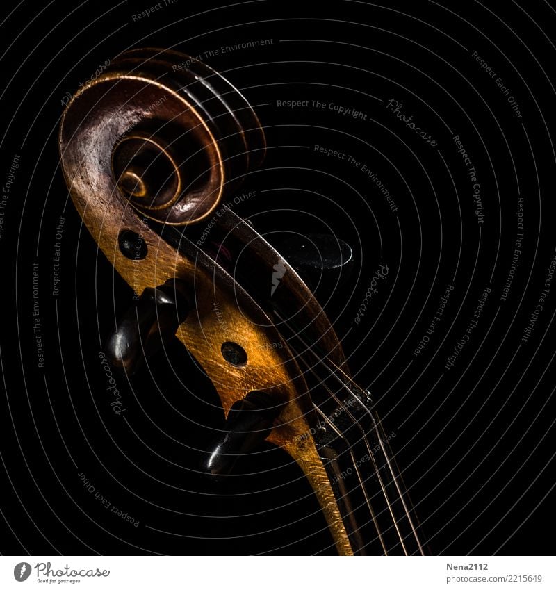 Violin - Q7 Art Music Listen to music Concert Outdoor festival Stage Opera Band Musician Orchestra Cello Wood String instrument violin snail Swirl Noble