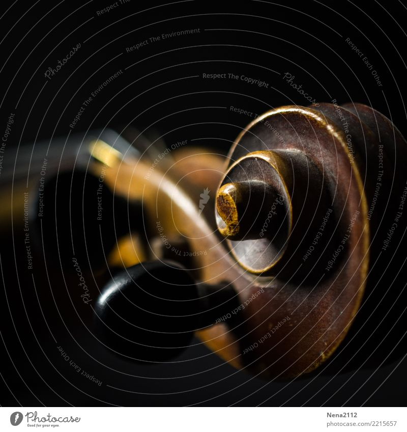 Violin - Q2 Art Music Listen to music Concert Outdoor festival Stage Opera Musician Orchestra Esthetic Round Wood String instrument Play violin Snail Swirl