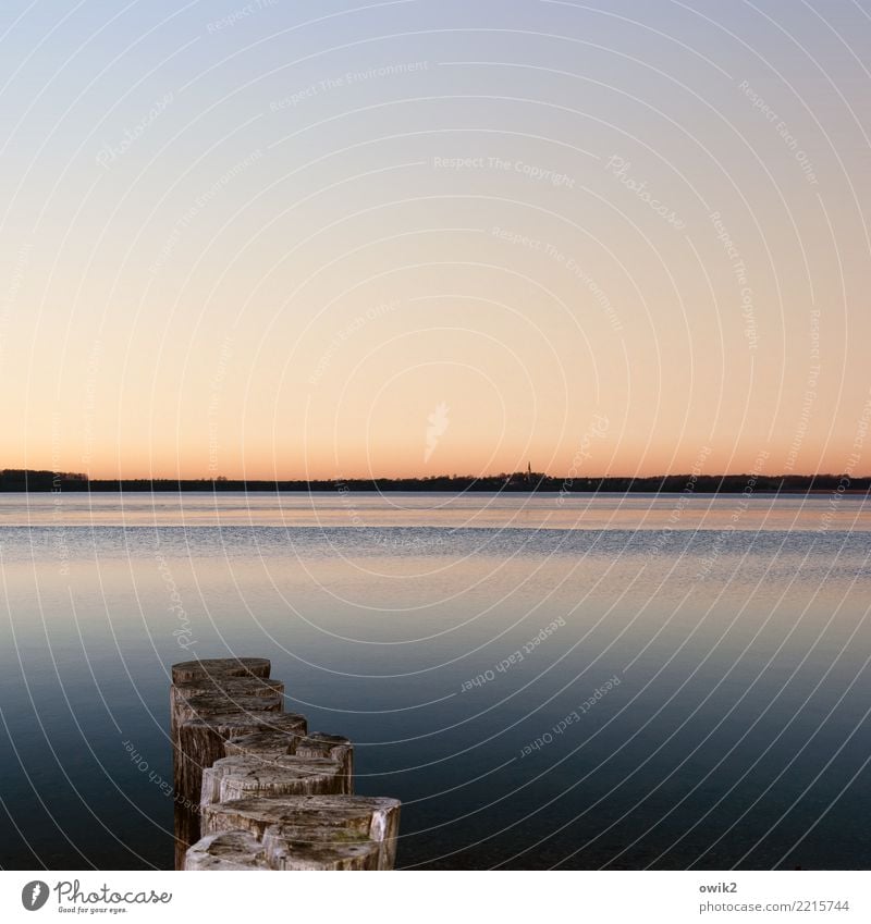 resting pool Environment Nature Landscape Water Cloudless sky Horizon Beautiful weather Lake Break water Wooden stake Loneliness Idyll Far-off places Calm