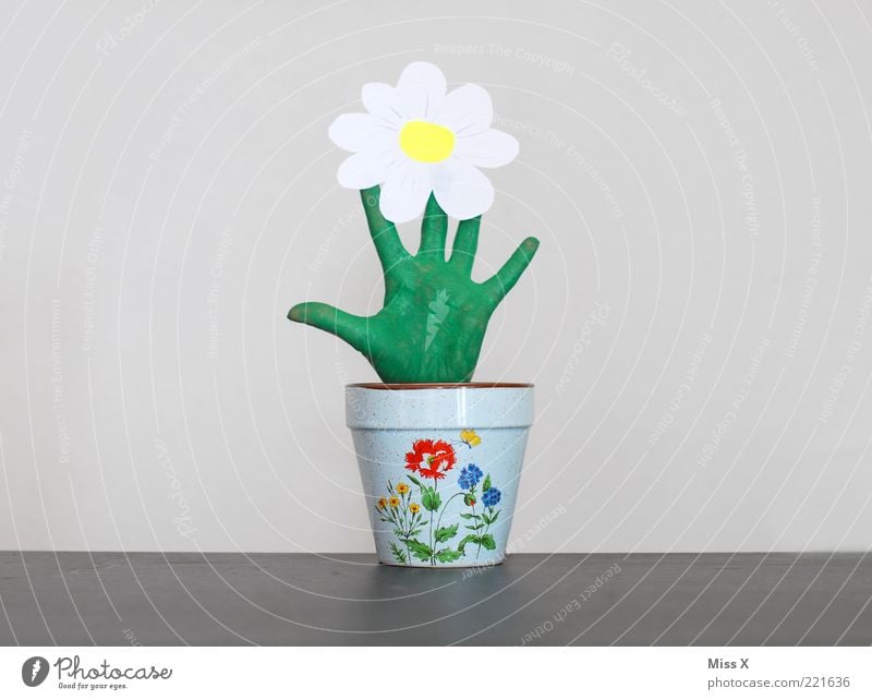 More than a green thumb Fingers Plant Flower Leaf Blossom Pot plant Blossoming Growth Exceptional Funny Positive Green Creativity Flowerpot Painted Green thumb