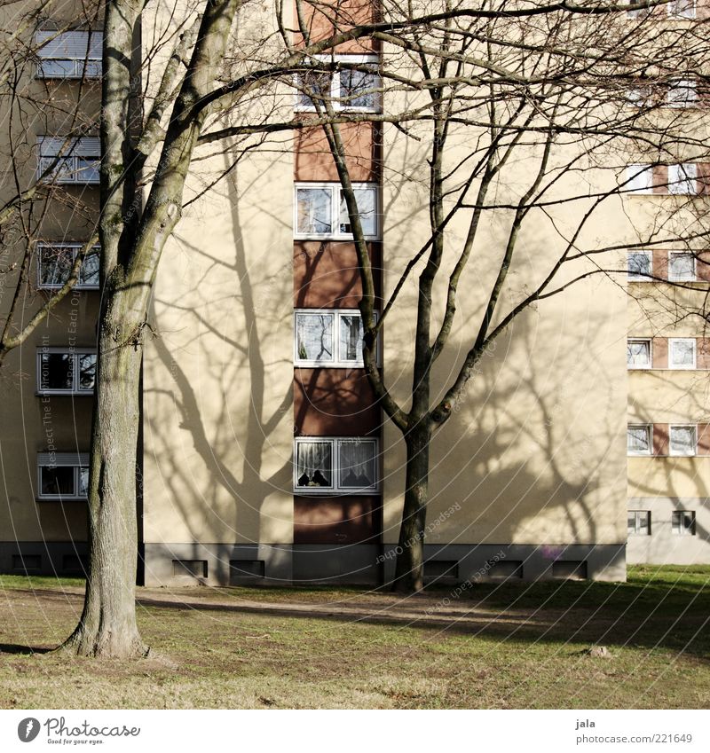 block Autumn Plant Tree Grass Meadow House (Residential Structure) High-rise Manmade structures Building Architecture Facade Window Gloomy Colour photo