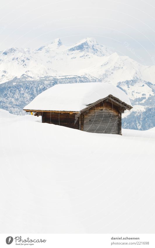 Hasliberg Winter Snow Alps Mountain Snowcapped peak Hut Bright Blue White Switzerland Subdued colour Copy Space top Copy Space bottom High-key Panorama (View)