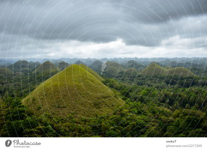 Chocolate Hills Clouds Summer Bad weather Forest Mountain Philippines Exceptional Gray Green Uniqueness Vacation & Travel Smooth Geology Conical Grassland