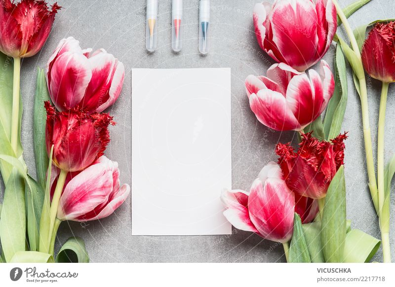 Beautiful Tulips In Pink Pastel Colour A Royalty Free Stock Photo From Photocase