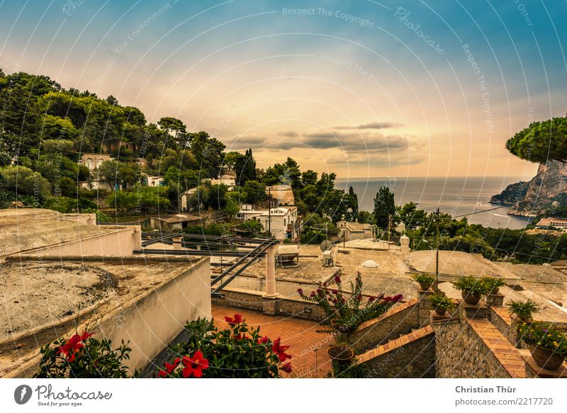 Sicily taormina Environment Nature Landscape Clouds Sunlight Summer Autumn Beautiful weather Tree Flower Bushes Garden Hill Ocean Island Taormina Italy Village