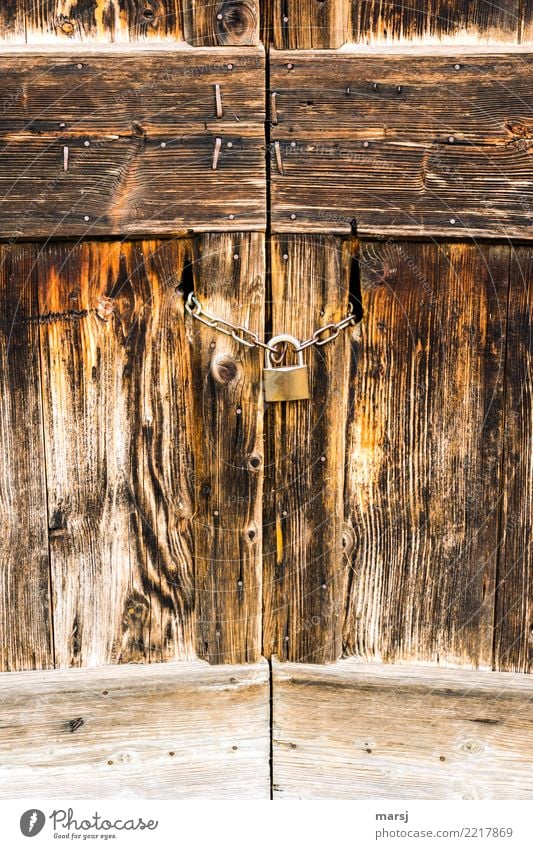 Because of closed, closed Door Gate Padlock Iron chain Wood Old Brown Loneliness Symmetry Closed Wood grain Weathered Wooden gate Colour photo Multicoloured