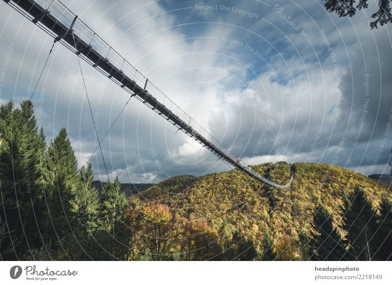 Side view of the Geierlay suspension bridge in autumn Leisure and hobbies Vacation & Travel Tourism Trip Adventure Freedom Sightseeing Expedition Hiking