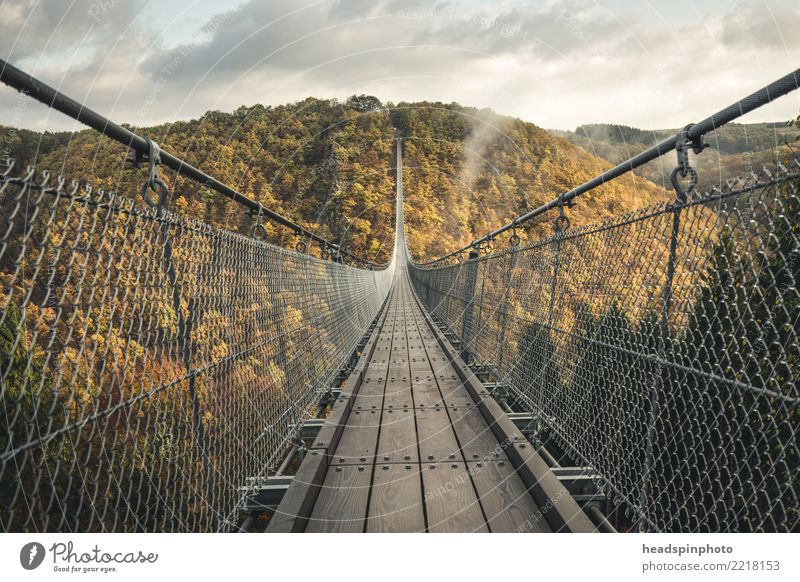 Geierlay suspension bridge in autumn Vacation & Travel Tourism Trip Adventure Freedom Expedition Hiking Nature Landscape Autumn Fog Forest Hill Mountain Canyon