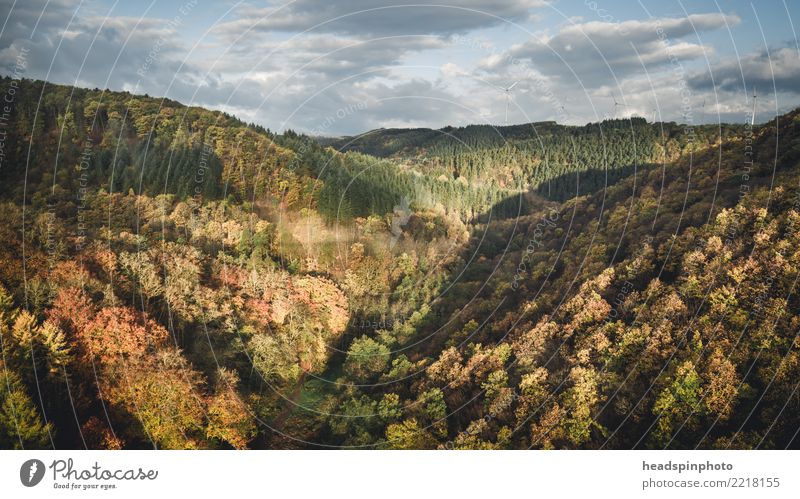 Autumn landscape in the Hunsrück at sunrise Hiking Environment Nature Landscape Clouds Wind Tree Forest mortar village Germany Tourist Attraction Relaxation