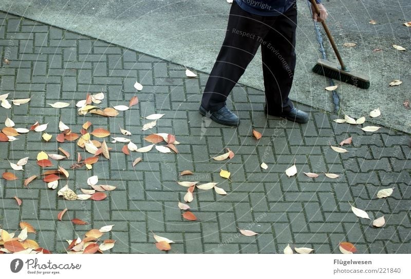 May I convert you? Old Sustainability Determination Boredom Sweep Broom Broomstick Leaf Concrete Cleaning Dirty Autumn Autumnal Autumnal weather Early fall