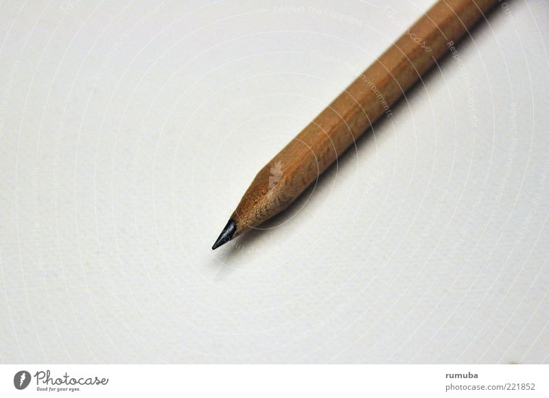 pencil Stationery Wood Brown Pencil Point Sharpened Colour photo Interior shot Copy Space left Neutral Background Shadow Bird's-eye view Copy Space bottom